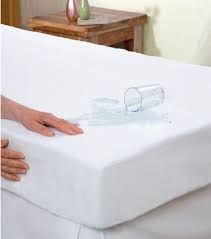 Pillow Protector(Water proof)