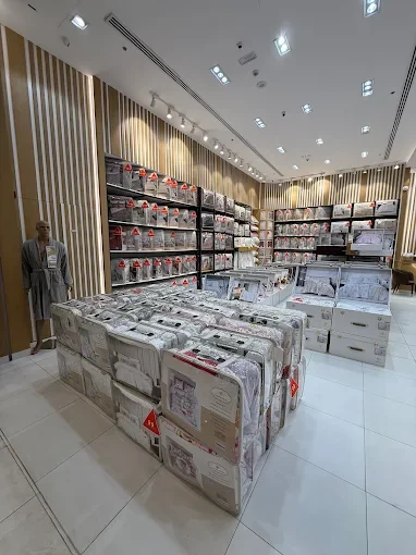 Professor- Sharjah (Rahmaniya Mall)